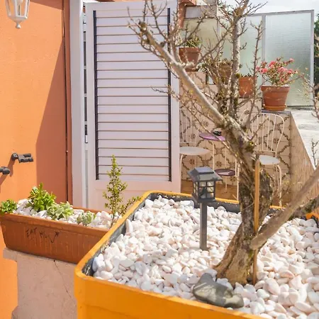 Collector's Guest house