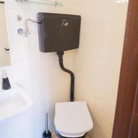 Collector's ブラガ