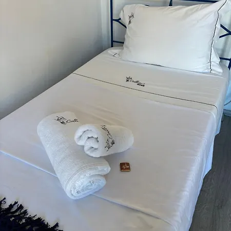 Collector's 3* ブラガ