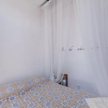 Collector's ブラガ