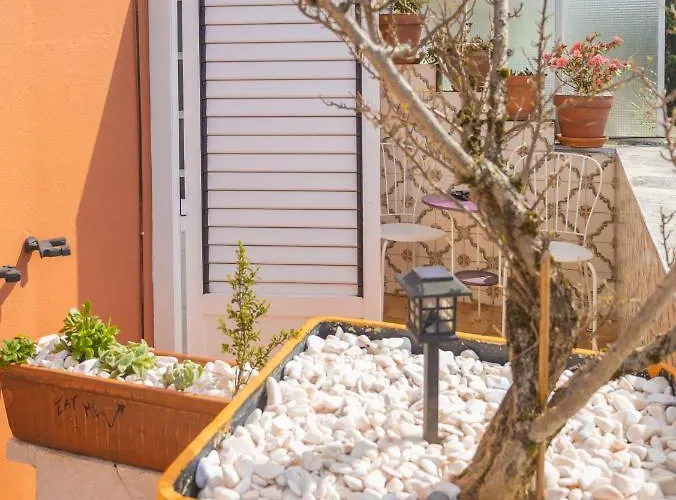 Collector's בית הארחה