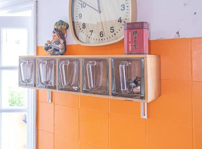 Collector's Guest house