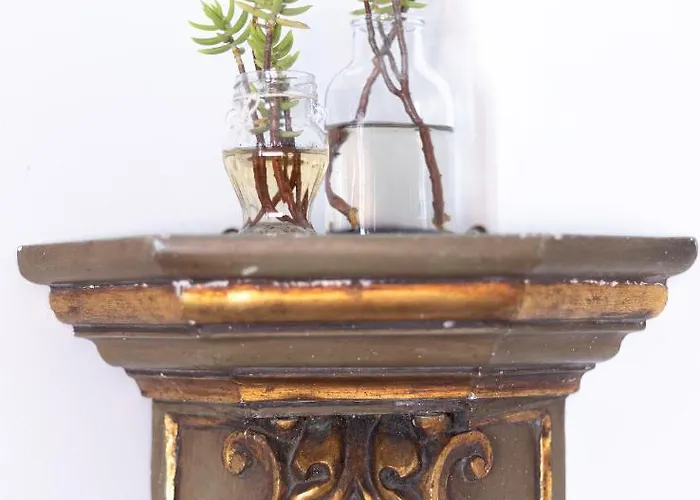 Guest house Collector's