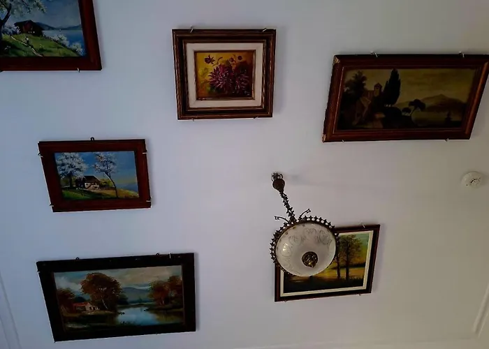 Guest house Collector's